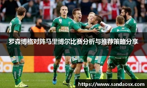 罗森博格对阵马里博尔比赛分析与推荐策略分享